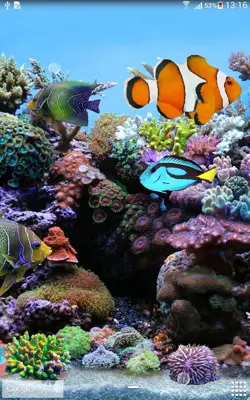 Coral Fish 3D Live Wallpaper android App screenshot 1