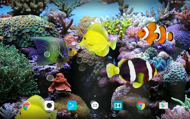 Coral Fish 3D Live Wallpaper android App screenshot 2