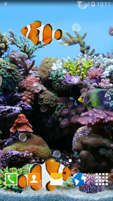 Coral Fish 3D Live Wallpaper android App screenshot 8